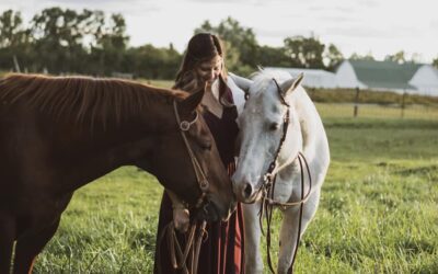 Spirit Horse Retreat